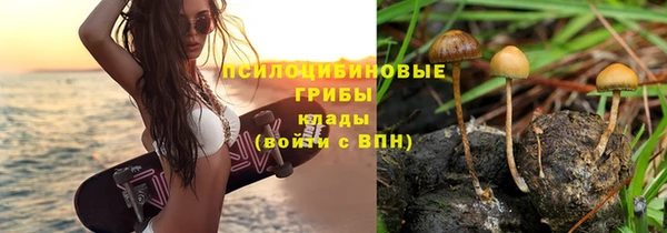 бошки Верея