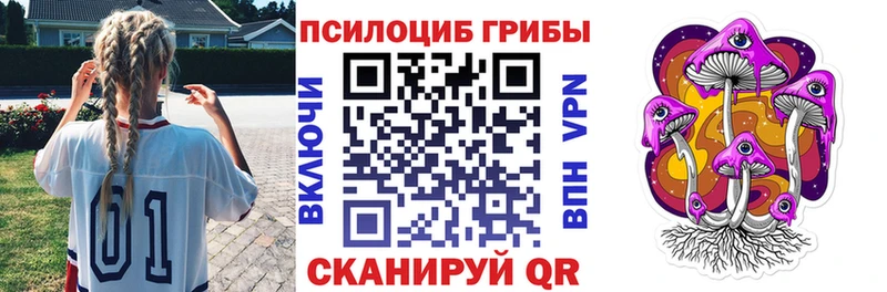 Галлюциногенные грибы Psilocybe  это официальный сайт  Славянск-на-Кубани 